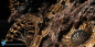 Preview: XM Studios Nemesis Prime